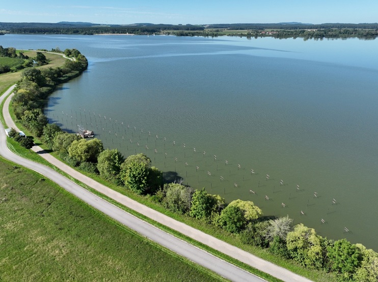 Abbildung: Luftbild vom Wasserpflanzenschutznetz im August 2025 Abbildung: Luftbild vom Wasserpflanzenschutznetz im August 2025