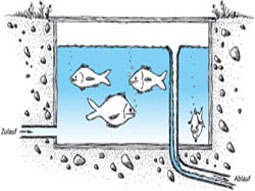 Zeichnung eines Fischkastens