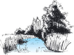 Zeichnung eines Bachlaufs
